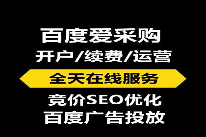 SEM代理服务：案例分享，效果显著